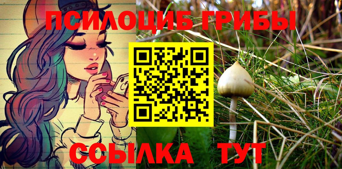 Лыткарино  Псилоцибиновые грибы Psilocybe  Вход с VPN  Псилоцибиновые грибы Cubensis 